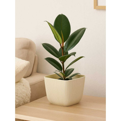 Кашпо IDEA ПИКАНТО 150х150 мм 1.8л, белый ротанг М 3209