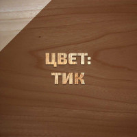 Декоративно-защитный состав для древесины Forwood ВДПФ-1601 тик, 1 л 4630058024527