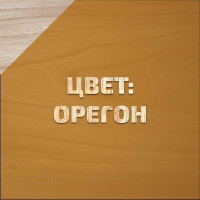 Декоративно-защитный состав для древесины Forwood ВДПФ-1601 орегон, 1 л 4630058024435