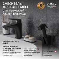 Смеситель для раковины Paini Laguna с гигиеническим душем, черный 32714