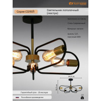 Светильник потолочный ЭЛЕТЕХ Солей 151 черн.зол. НПБ 01-5x60-166 Е27 1005405393