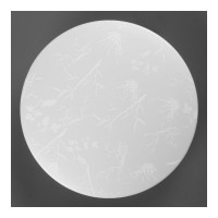 Светильник cветодиодный General Lighting Systems GSMCL-020-12 Plant 190x218x55мм 6500к 780лм 800259