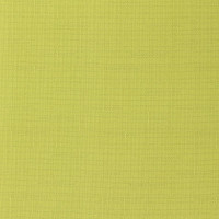 Рулонная штора PRAKTO Shantung 70х150см зеленый 6530864