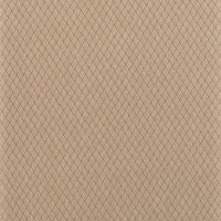 Рулонная штора PRAKTO Ribbed 160х175см бежевый 6530208