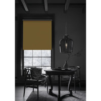 Рулонная штора PRAKTO Blackout Silver 40х160см медовый 7794922