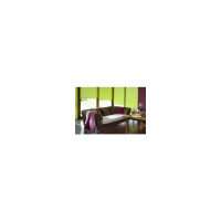 Рулонная штора PRAKTO Shantung 100х150см зеленый 6530895