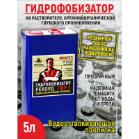 Гидрофобизатор на растворителе РЕКОРД 5 л ГФ08