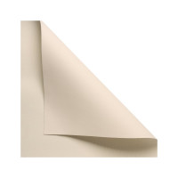 Рулонная штора PRAKTO Blackout Color 140x175 см натуральный 8310902