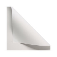 Рулонная штора PRAKTO Blackout Color 60x160 см белый 8310704