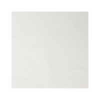Рулонная штора PRAKTO Easy 80x160 см белый 8315280