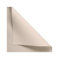 Рулонная штора PRAKTO Blackout Color 50x160 см бежевый 8310957