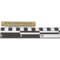 Шина EKF PEN, ноль-земля, 8х12мм, 10 отверстий, латунь, крепеж по краям, PROxima sn0-125-10-k