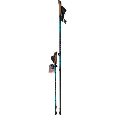 Палки для скандинавской ходьбы Tramp Fitness TRR-011