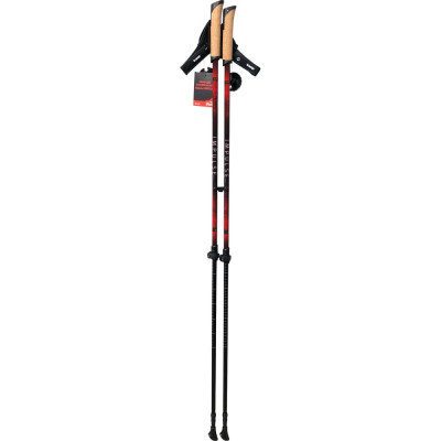 Палки для скандинавской ходьбы Tramp Impulse TRR-0161