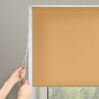 Рулонная штора PRAKTO Easy 120x160 см, бежевый 8316775