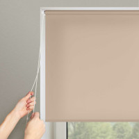 Рулонная штора PRAKTO Easy 65x250 см, серый 8317000