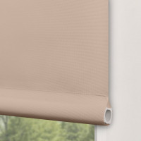 Рулонная штора PRAKTO Easy 65x250 см, серый 8317000