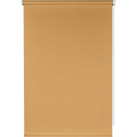 Рулонная штора PRAKTO Easy 70x160 см, бежевый 8316737