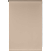Рулонная штора PRAKTO Easy 40x160 см, серый 8316874