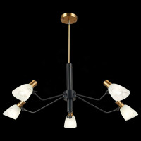 Люстра на штанге Evoluce Lita SLE205403-05