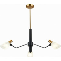Люстра на штанге Evoluce Lita SLE205403-03