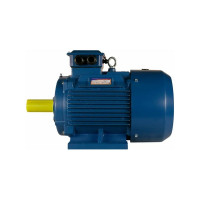 Электродвигатель 5АИ 180 М4 30/1500 IM 1001 01.01.213592