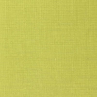 Рулонная штора PRAKTO SHANTUNG 65x165 см, зеленая 9403218656