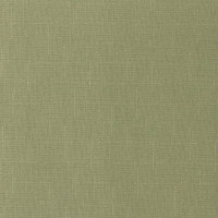 Рулонная штора PRAKTO SHANTUNG 85x160 см, оливковая 9403218684