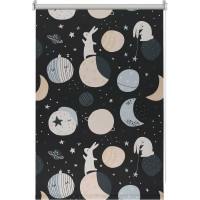 Рулонная штора PRAKTO BLACKOUT PRINT 100x160 см, Лунный заяц, черный 9403217459