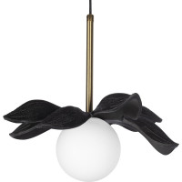 Подвесной светильник LOFT IT Monro 10213/A Black