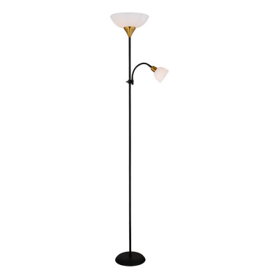 Напольный светильник ARTE LAMP A9569PN-2BK