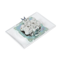 Двойная розетка с защитной шторкой, белая 2П 10А 250В TDM ELECTRIC Лама SQ1815-0012