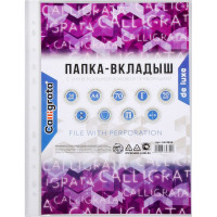 Вертикальный файл-вкладыш Calligrata А4, 90 мкм, глянцевый, плотный, 50 шт 6534850