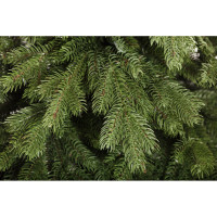 Ель CRYSTAL TREES Эмили зеленая, 250 см KP4625
