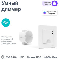 Умный выключатель-диммер Ujin WiFi двухклавишный, голосовое управление D-10000-0