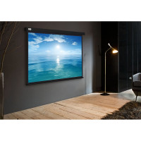 Настенно-потолочный рулонный экран CACTUS 104.6x186 см Wallscreen CS-PSW-104x186-BK 16:9 черный 1678289