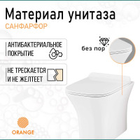 Подвесной унитаз Orange безободковый C02-100W