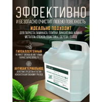 Средство гипоаллергенное для мытья пола Ecvols №1 с эфирными маслами (мята), 3 л 00.01fl3000