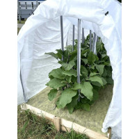 Комплект для баклажанов (желто-черный 80 1.06х6 м, микс 40 3х8 м) Агротекс 32.01.31.01.00.000.0000.0000.00