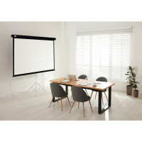 Настенно-потолочный рулонный экран CACTUS 149.4x265.7 см Wallscreen CS-PSW-149x265-BK 16:9 черный 1678308