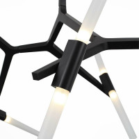 Потолочная люстра ST LUCE LACONICITA SL947.402.10