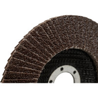 Круг лепестковый торцевой Мастер (10 шт; 125х22.2 мм; P24) BOHRER 51212502