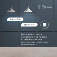 Умный выключатель-диммер + датчик 4в1 Ujin двухклавишный, белый, голосовое управление Luxe/WiFi/BLE D-10000-03