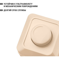 Светорегулятор TDM ELECTRIC поворотный RL 300Вт IP20 сл. кость Ладога SQ1801-0209