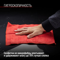 Салфетка SKYWAY набор микрофибра 30х30 см, прямоугольники, 10 шт. S03902002