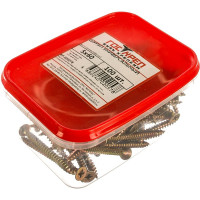 Саморез ГОСКРЕП ШУЖ 5,0х60, 100 шт. пл.конт 400 мл 1-0028180