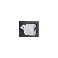 Держатель для туалетной бумаги RIDDER L=178 mm 12106100
