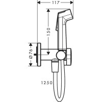 Комплект для гигиенического душа Hansgrohe Bidette 29232700 00000125483