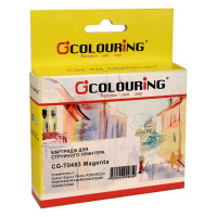Струйный картридж T0483 для Epson Stylus Photo R200/R220/R300/R320/R340/RX500 Colouring на водной основе Magenta 13 мл CG_T048_M