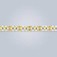 Светодиодная лента Eleganz LUX 24V 2835 240 LED 19.2W/M холодная 6000К IP20 ДВУХРЯДНАЯ EL-24V-19W